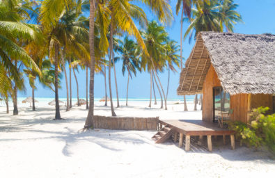 Wooden bungalow on tropical white sandy beach. Traditional wooden bungalow on tropical white sandy beach dotted with coconut palm trees. Vacations on picture perfect Paje beach, Zanzibar, Tanzania.