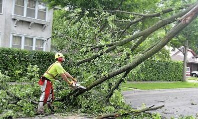 Jmd STORM 9 St Paul Streets Dept. employee wields a chainsaw to cut out a tree blocking the intersection of Prior and Berkeley as clean up after the early morning thunder and wind storm continued in St. Paul Friday afternoon